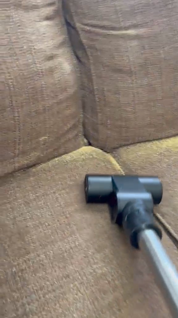 Professional cleaning sofa