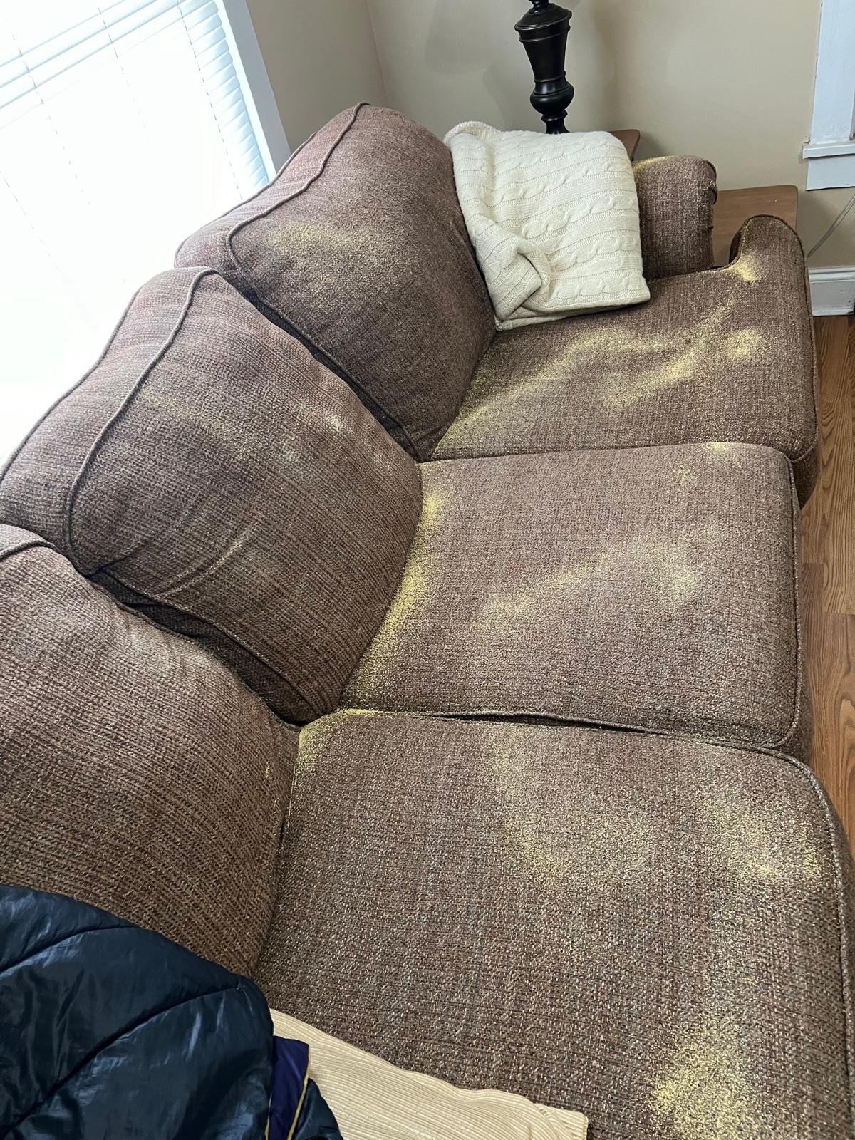 Upholstery Cleaning
